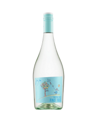 VINO FRIZZANTE PINOT NOIR BLANC DE NOIR PINO PINO GFA