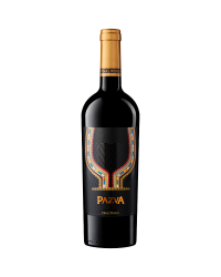 PAZVA VINAL BLEND TINTO