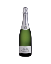 ESPUMANTE VALLONTANO MOSCATEL GFA