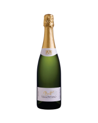 ESPUMANTE VALLONTANO BRUT GFA