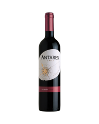 CARMENERE ANTARES VALE CENTRAL
